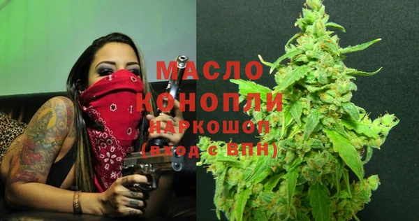 амф Пересвет