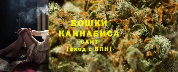молекула духа Покров