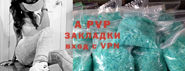 молекула духа Покров