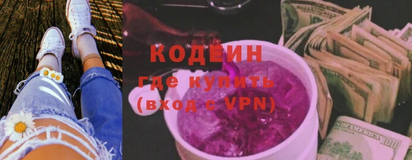 молекула духа Покров