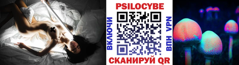 Псилоцибиновые грибы Cubensis  наркота  ОМГ ОМГ зеркало  Камышин 