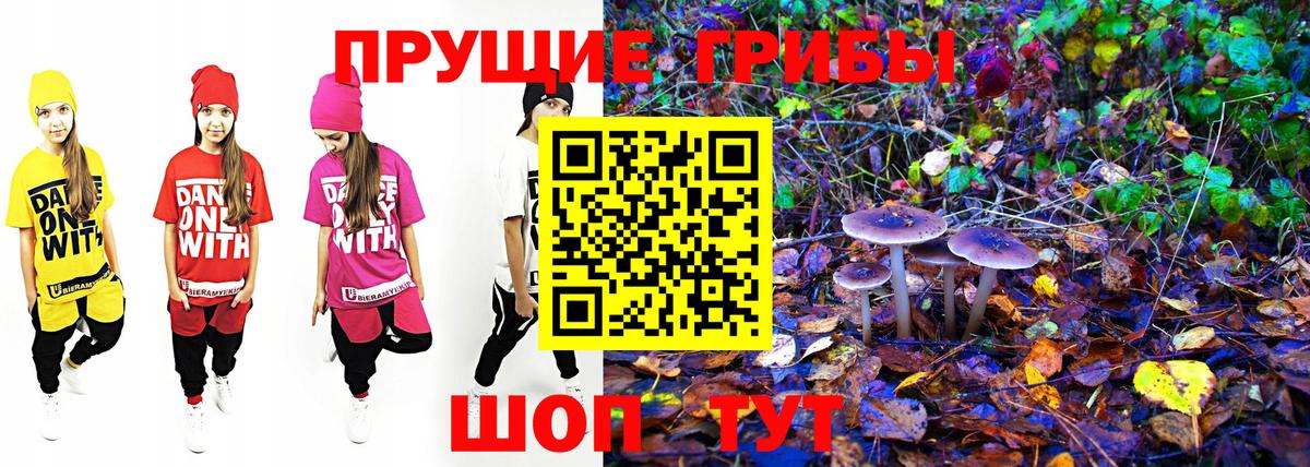 Галлюциногенные грибы MAGIC MUSHROOMS  Вход с VPN  Псилоцибиновые грибы GOLDEN TEACHER  Камышин 