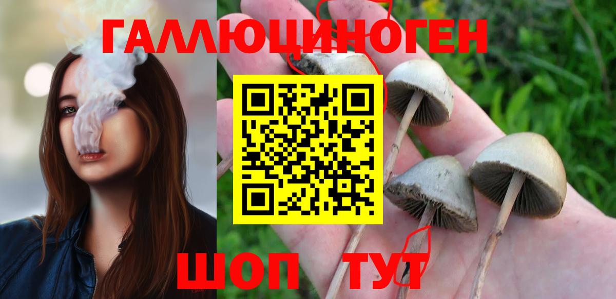 Псилоцибиновые грибы Cubensis  Камышин 